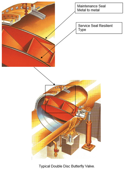doublediscbutterflyvalve.jpg